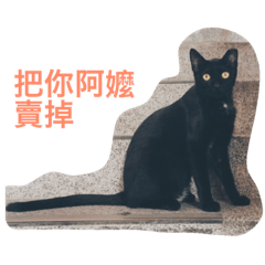 [LINEスタンプ] street cats' life