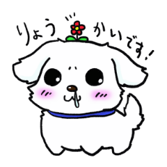 [LINEスタンプ] もふもふマルチーズ