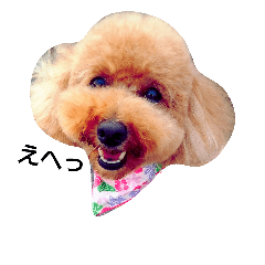 [LINEスタンプ] 楽しい犬 小梅ちゃん