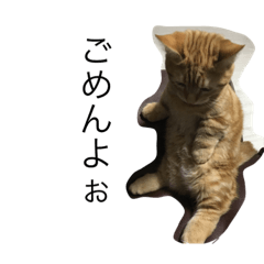 [LINEスタンプ] 猫人間しゅんくん 2