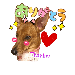 [LINEスタンプ] AnnyとYukiのすたんぷ