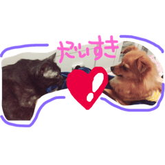 [LINEスタンプ] 我が家の可愛いこちゃん