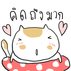 [LINEスタンプ] Chubby Cat MaoMao V6