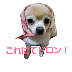 [LINEスタンプ] ちびーずの日常8