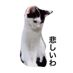 [LINEスタンプ] 猫のぽよと子どもたち