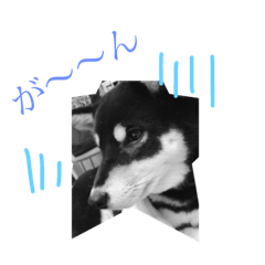 [LINEスタンプ] Everyday of runa2