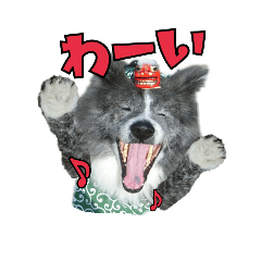 [LINEスタンプ] 秋田犬カッツと茶羽 2