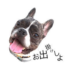 [LINEスタンプ] 虎太郎日常まったり