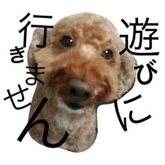 [LINEスタンプ] ワンダわん